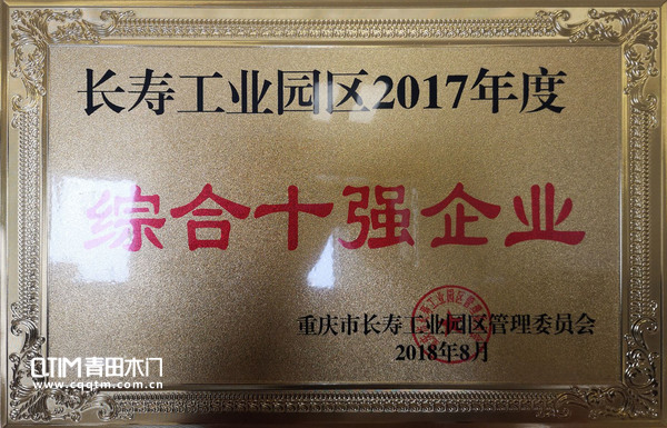 重庆青田木门荣获科技十强企业