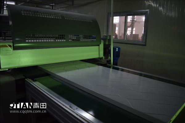 重庆青田全自动UV套装门生产线8