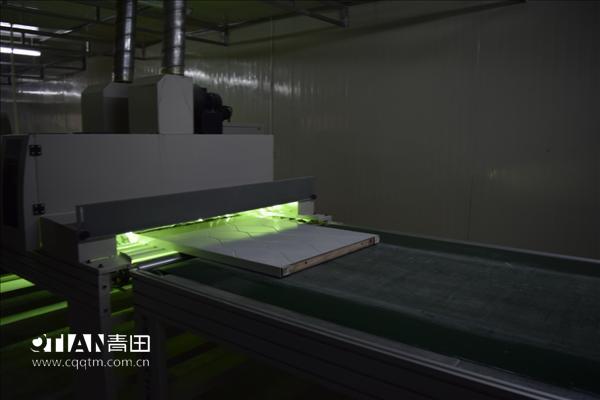 重庆青田全自动UV套装门生产线14